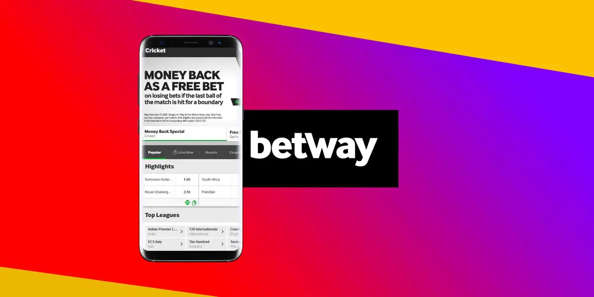 Why Some People Almost Always Make Money With Ipl Betting App
