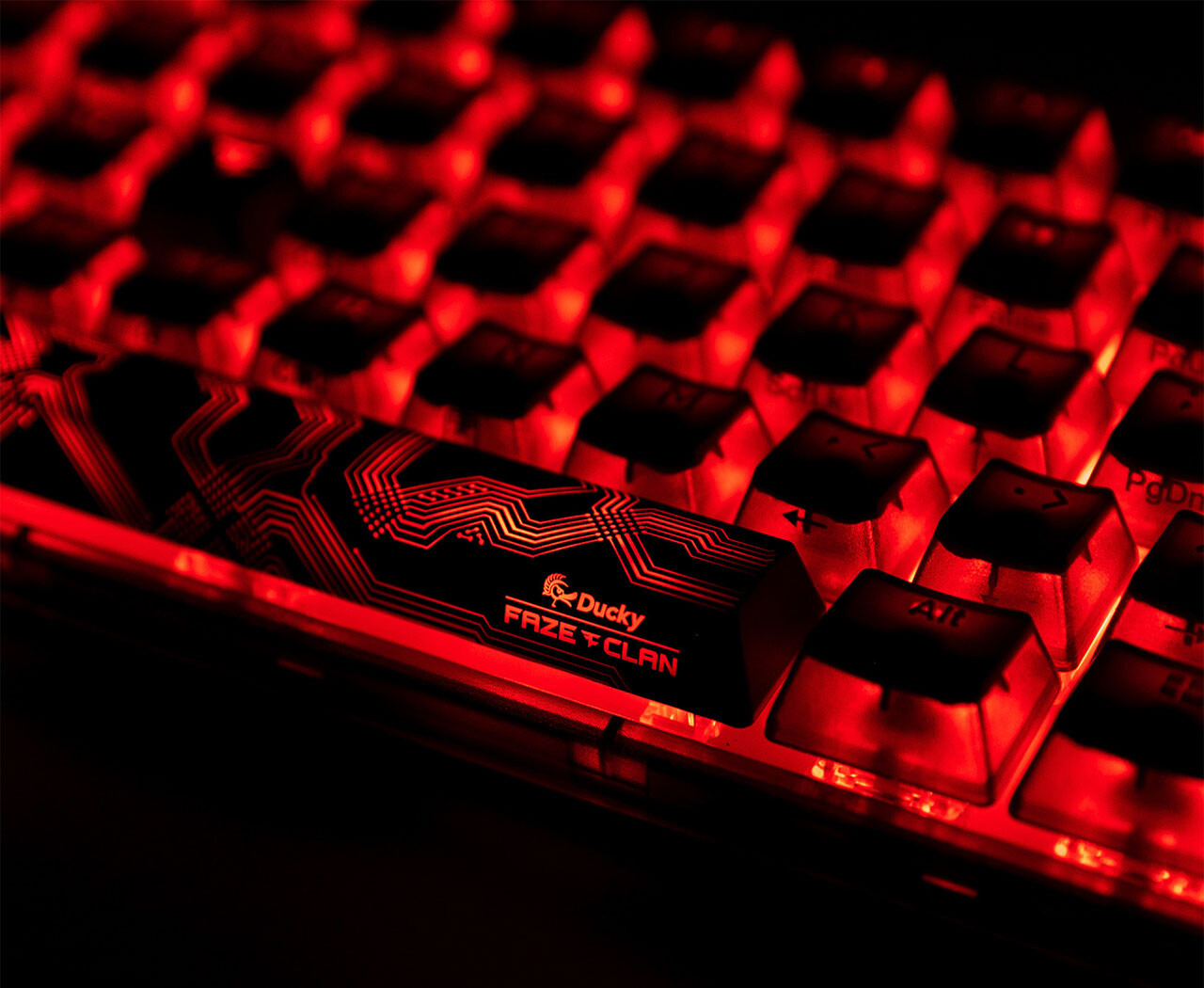 Ducky and FaZe Clan Collaborate for First FaZe Gaming Peripheral -